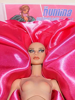 Dollcis Numina Le 40 Edony 16" Resin 1/4 Fashion Doll Nudedoll W/ Stan