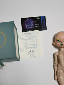 Element Doll Pitt H Dumpling In Obitsu "normal". 2021