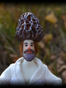 Art Bjd Morel Gnome Man, Fantasy Bjd